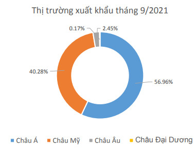 Dệt may Thành Công (TCM) báo lỗ tháng thứ 2 liên tiếp, 9 tháng hoàn thành chưa tới 40% mục tiêu lợi nhuận cả năm 2021 - Ảnh 3.