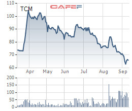 Dệt may Thành Công (TCM): Cổ phiếu liên tục giảm xuống 66.000 đồng/cp, tháng 8 bất ngờ báo lỗ hơn 6 tỷ đồng - Ảnh 1.