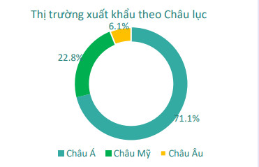 Dệt may Thành Công (TCM): Lợi nhuận tháng 2 đạt 13 tỷ đồng, giảm gần một nửa so với tháng 1/2022 - Ảnh 3.