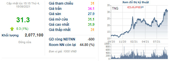 Dệt may TNG báo lãi 8 tháng đầu năm 142 tỷ đồng, hoàn thành 81% kế hoạch lợi nhuận năm - Ảnh 2.