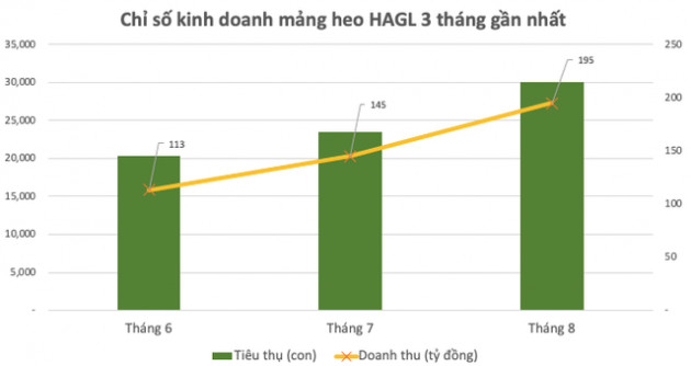 Đều đặn thu về cả trăm tỷ mỗi tháng, bầu Đức bán heo cho ai? - Ảnh 1.