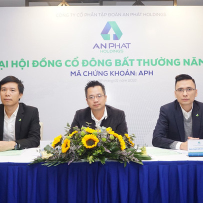 ĐHCĐ bất thường APH: Thông qua phương án phát hành thêm 55,7 triệu cổ phiếu