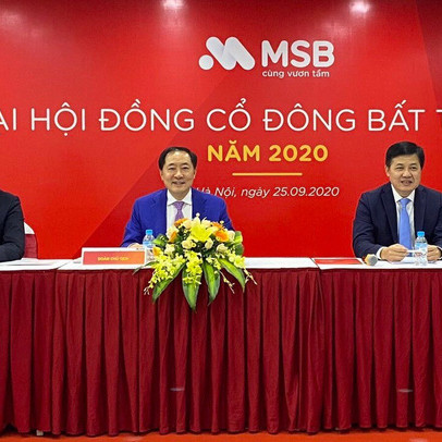 ĐHCĐ bất thường MSB: Bầu TGĐ Nguyễn Hoàng Linh vào HĐQT, đang nộp hồ sơ niêm yết lên HoSE