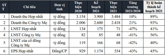 ĐHCĐ Fecon: Tái cơ cấu cấu công ty, Fecoc dự kiến phục hồi đà tăng trưởng với doanh thu 5000 tỷ trong 2022 với các dự án BĐS mới - Ảnh 1.