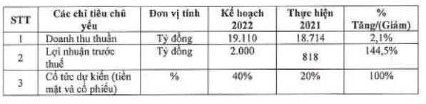 ĐHCĐ GELEX Electric: Lợi nhuận quý 1 đạt 408 tỷ đồng, tăng 136% cùng kỳ, dự kiến niêm yết trong quý 4/2022 - Ảnh 1.