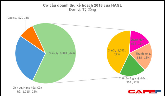 ĐHCĐ Hoàng Anh Gia Lai: Bầu Đức không biết tại sao giá cổ phiếu cứ xuống thấp - Ảnh 1.