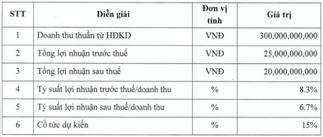 ĐHCĐ SHE Sơn Hà: Đẩy mạnh đầu tư Xe máy điện, đặt kế hoạch tăng trưởng lợi nhuận 30% - Ảnh 2.