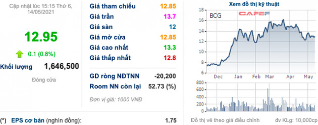 ĐHĐCĐ Bamboo Capital: Ghi nhận nhiều dự án BĐS nhưng các dự án điện gió chưa sẵn sàng phát điện trước 31/10/2021 - Ảnh 1.