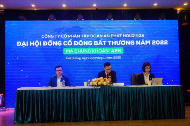 ĐHĐCĐ bất thường APH: Thông qua phương án chuyển đổi và mua lại cổ phần ưu đãi - Ảnh 1. ĐHĐCĐ bất thường APH: Thông qua phương án chuyển đổi và mua lại cổ phần ưu đãi - Ảnh 1.