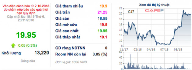 ĐHĐCĐ C47: Đang thương thảo với cổ đông chiến lược Hongkong và Hàn Quốc, cổ đông quan ngại về tính hấp dẫn của cổ phiếu - Ảnh 4.