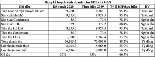 ĐHĐCĐ GAS: Giá dầu giảm sâu có ảnh hưởng nhưng không lớn đến hiệu quả kinh doanh - Ảnh 1.