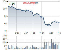 ĐHĐCĐ GAS: Giá dầu giảm sâu có ảnh hưởng nhưng không lớn đến hiệu quả kinh doanh - Ảnh 2.