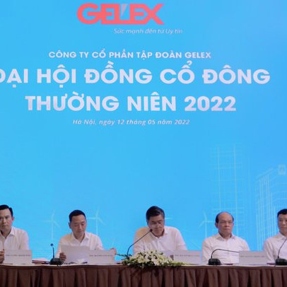 ĐHĐCĐ Gelex: Việc mua cổ phần doanh nghiệp nhà nước được thực hiện đúng luật, CEO Nguyễn Văn Tuấn cam kết mua 10 triệu cổ phiếu để đầu tư lâu dài