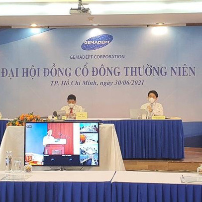 ĐHĐCĐ Gemadept (GMD): Cảng nước sâu Gemalink liên tục đón tàu mới, kỳ vọng sẽ có lãi ngay trong năm 2021