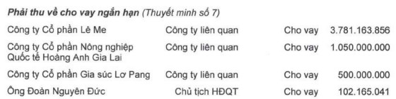 ĐHĐCĐ Hoàng Anh Gia Lai (HAGL): Sẽ chuyển 2 công ty đang nợ hơn 5.600 tỷ đồng thành công ty con, cố gắng tái cấu trúc để không bị hủy niêm yết - Ảnh 5.