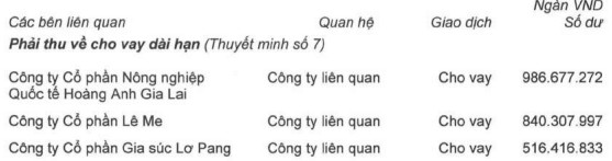 ĐHĐCĐ Hoàng Anh Gia Lai (HAGL): Sẽ chuyển 2 công ty đang nợ hơn 5.600 tỷ đồng thành công ty con, cố gắng tái cấu trúc để không bị hủy niêm yết - Ảnh 6.