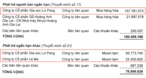 ĐHĐCĐ Hoàng Anh Gia Lai (HAGL): Sẽ chuyển 2 công ty đang nợ hơn 5.600 tỷ đồng thành công ty con, cố gắng tái cấu trúc để không bị hủy niêm yết - Ảnh 8.