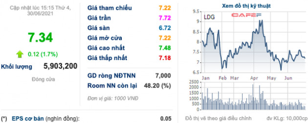 ĐHĐCĐ LDG: Chưa thể chia trả cổ tức 2019 cho cổ đông, lý do đã dùng tiền mặt để xử lý vấn đề pháp lý liên quan đến dự án Viva Park - Ảnh 1.