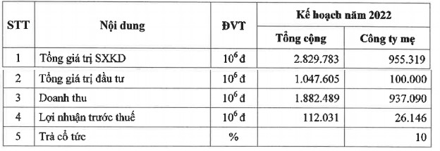 ĐHĐCĐ SCI (S99): Dự kiến phát hành 33 triệu cổ phiếu trong năm 2022, ban lãnh đạo trả lời thắc mắc về việc giá cổ phiếu lao dốc, khẳng định không can thiệp - Ảnh 1.