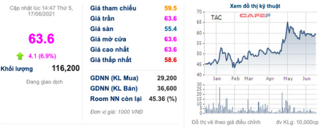 ĐHĐCĐ Tường An (TAC): Năm 2021 sẽ chỉ tập trung sản xuất và sáp nhập vào KIDO khi đủ điều kiện, 6 tháng tăng 22% LNTT lên 105 tỷ đồng - Ảnh 1.