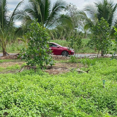 Đi vào tận ngõ hẻm sâu, giá đất vẫn “chóng mặt”