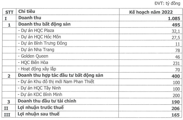 Địa ốc Hoàng Quân trình phương án chào bán riêng lẻ 100 triệu cổ phiếu giá 10.000 đồng/cp - Ảnh 1.