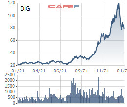 DIC Corp (DIG) báo lãi ròng đạt kỷ lục 818 tỷ đồng trong quý 4/2021, tăng 62% so với cùng kỳ - Ảnh 4.