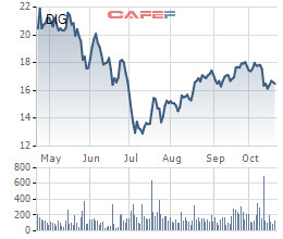 DIC Corp (DIG) chào bán 47 triệu cổ phiếu cho cổ đông hiện hữu giá 13.000 đồng/cp - Ảnh 1.