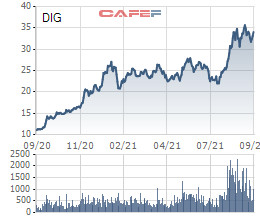 DIC Corp (DIG) chào bán riêng lẻ 75 triệu cổ phiếu với giá 20.000 đồng, cổ đông lớn đăng ký mua 50% lượng phát hành - Ảnh 1.