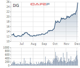 DIC Corp (DIG) "chốt lãi" thành công 8,26 triệu cổ phiếu quỹ với giá gấp đôi giá mua vào