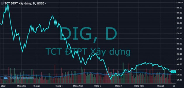 DIC Corp (DIG) chốt ngày tổ chức Đại hội đồng cổ đông bất thường lần 2 - Ảnh 1.