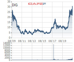 DIC Corp (DIG): Cổ phiếu lập đỉnh lịch sử, cổ đông lớn chốt lời hơn 13,6 triệu cổ phiếu - Ảnh 1.