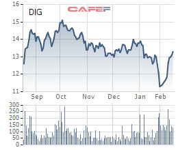DIC Corp (DIG) lên kế hoạch mua 15 triệu cổ phiếu quỹ - Ảnh 1.