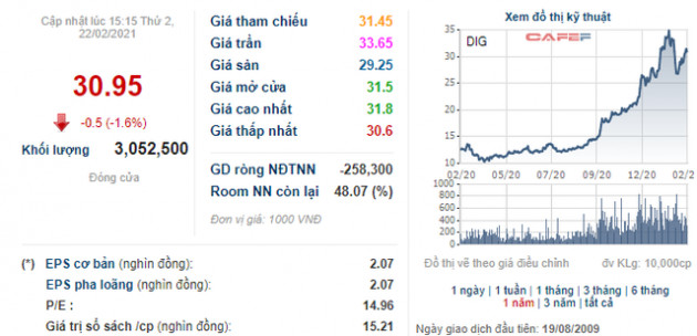 DIC Corp (DIG) lên phương án phát hành gần 32 triệu cổ phiếu trả cổ tức, tăng VĐL lên 3.500 tỷ đồng - Ảnh 2.