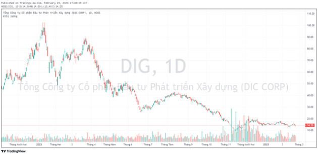 DIC Corp (DIG) lùi thời điểm chào bán 100 triệu cổ phiếu sang quý 2-3/2023 - Ảnh 2.