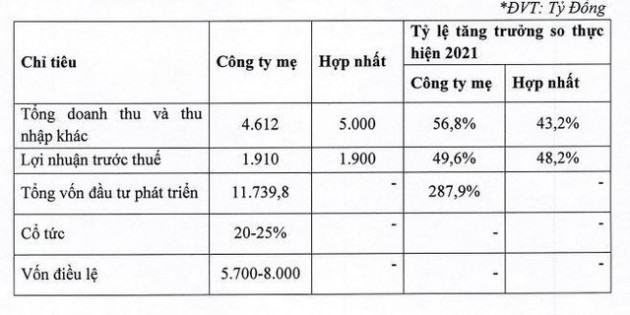 DIC Corp (DIG) muốn chào bán 100 triệu cổ phiếu riêng lẻ giá 30.000 đồng, dự kiến chia cổ tức và cổ phiếu thưởng tổng tỷ lệ 22% - Ảnh 1.