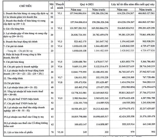 DIC Holdings (DC4) báo lãi năm 2021 tăng 33% so với cùng kỳ - Ảnh 1.