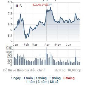 Dịch vụ Hoàng Huy (HHS) triển khai phương án phát hành 33 triệu cổ phiếu trả cổ tức - Ảnh 1.