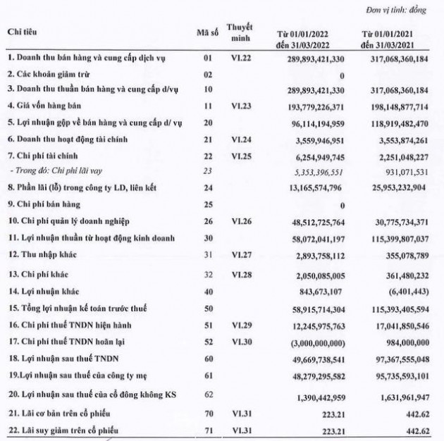 Dịch vụ khai thác cảng giảm, Cảng Sài Gòn (SGP) báo lãi quý 1/2022 giảm gần một nửa so với cùng kỳ năm ngoái - Ảnh 1.