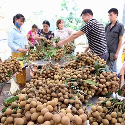 'Điểm danh' các loại trái cây Việt Nam đã được xuất ngoại