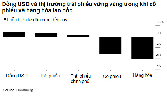 Điểm danh những hầm tránh bão mà nhà đầu tư tìm đến trong thời kỳ thị trường tắm máu như hiện nay - Ảnh 1.