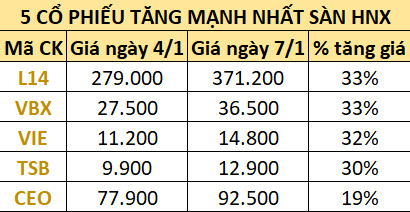 Điểm mặt những cổ phiếu lì xì nóng đầu năm cho nhà đầu tư: Một mã tăng gần 100.000 đồng chỉ sau 4 phiên giao dịch - Ảnh 2.