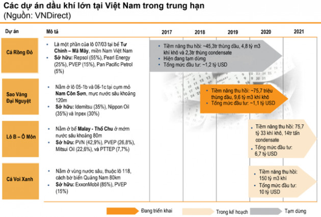 Điểm rơi lợi nhuận các doanh nghiệp dầu khí vào năm 2020, lựa chọn cổ phiếu nào cho danh mục đầu tư? - Ảnh 1.