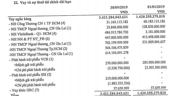 Điện Gia Lai (GEG) báo lãi đột biến 217 tỷ đồng trong 9 tháng, vượt xa kế hoạch năm - Ảnh 2.