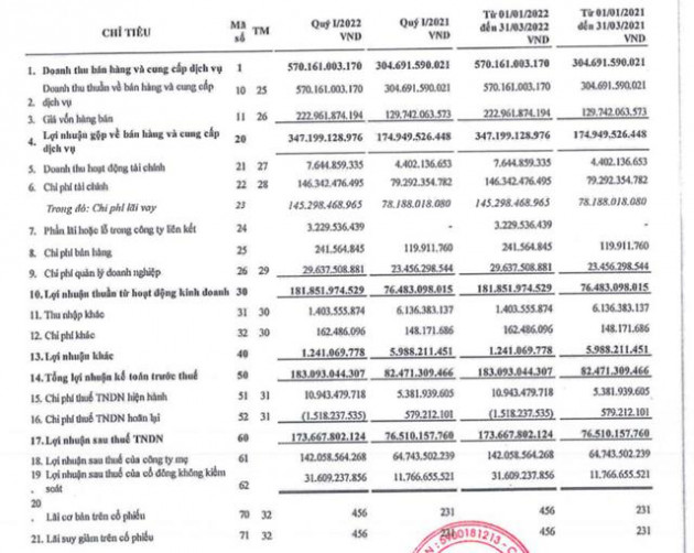 Điện Gia Lai (GEG): Doanh thu tăng cao, lợi nhuận quý 1 tăng 127% so với cùng kỳ - Ảnh 1.