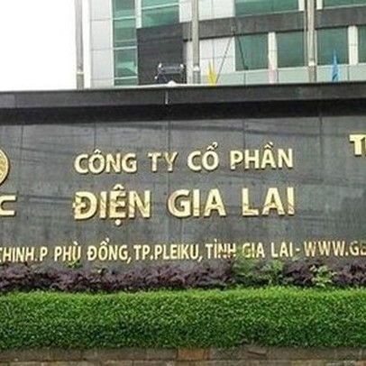 Điện Gia Lai (GEG) làm ăn ra sao trước khi bán 35% cổ phần cho tập đoàn năng lượng Nhật Bản?