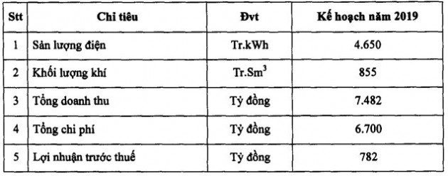 Điện lực Dầu khí Nhơn Trạch 2 (NT2): Mục tiêu lãi trước thuế 782 tỷ đồng năm 2019, giảm 5% so với cùng kỳ - Ảnh 2.