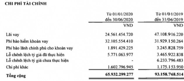 Điện lực Dầu khí Nhơn Trạch 2 (NT2): Quý 2 lãi 249 tỷ đồng tăng 20% so với cùng kỳ - Ảnh 2.