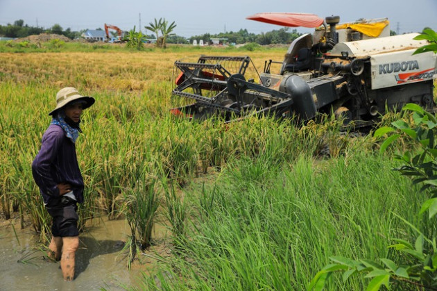 Diện mạo huyện đông dân nhất Việt Nam muốn trở thành thành phố - Ảnh 11.