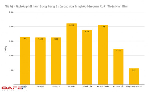 Điện mặt trời siêu lợi nhuận: Anh trai bầu Thụy vay một lúc gần 13.000 tỷ trái phiếu, sẽ sớm trở thành đối trọng đáng gờm của Trung Nam, BIM? - Ảnh 1.